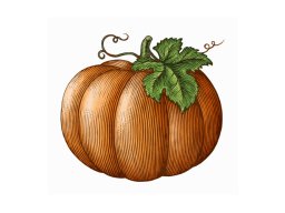 pumpkin art